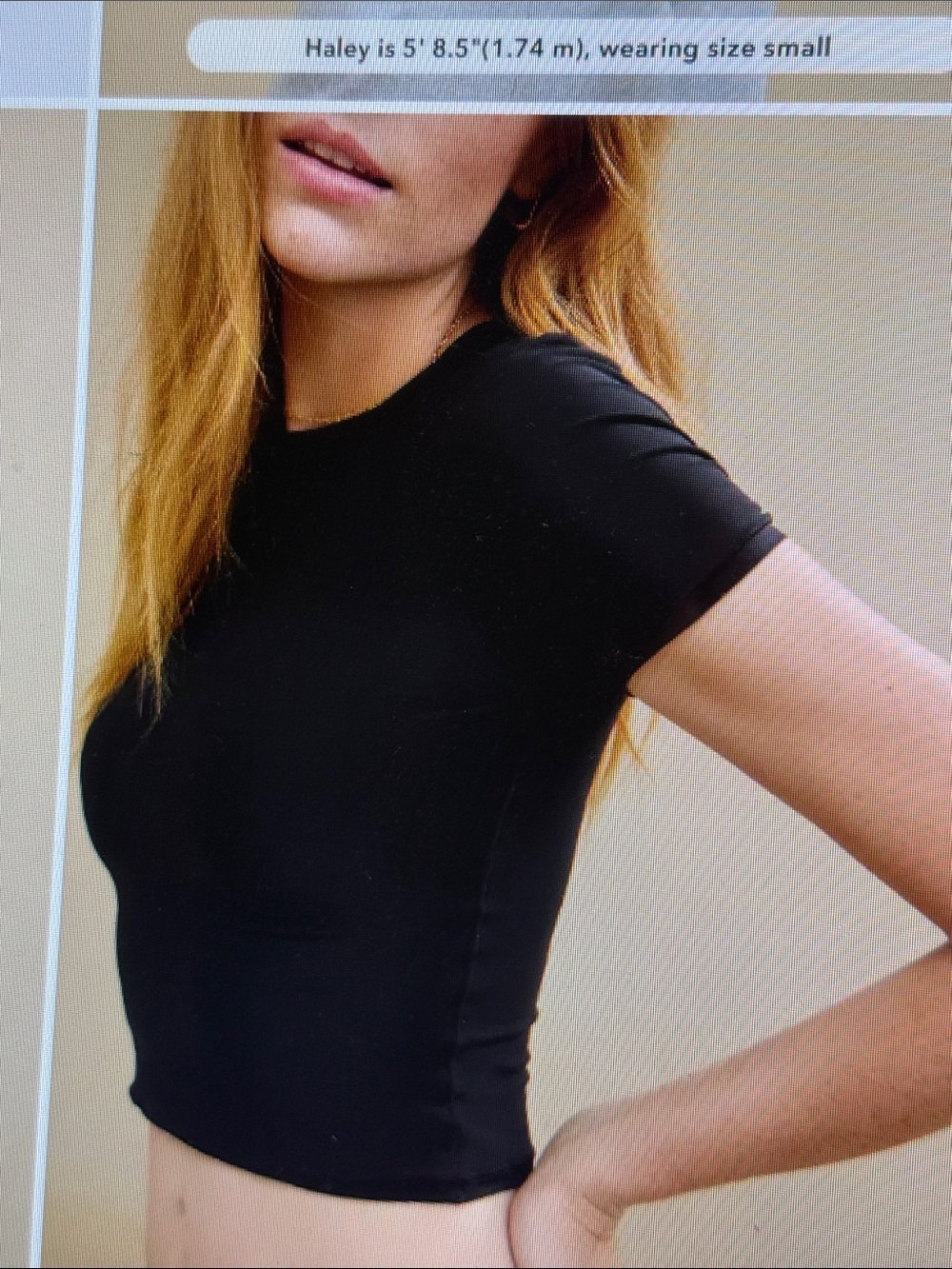 Aerie Smoothez  Blk Crewneck Stretch Buttery Soft Molds to the Body Crop Top L